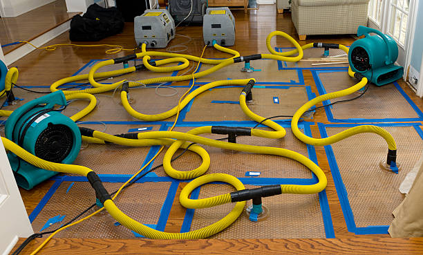 Professional Burst Pipe Water Damage technician working in Bainbridge, PA